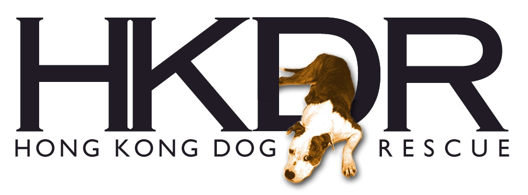 HemaBuddy™ Dog Health Supplement and Treat | Formulated by dog chefs and vets with best ingredients for dogs. Soft chews and complete nutrition supplement for dogs. Dog arthritis, dog joints, dog skin and coat supplements. Supplements for old senior dogs.