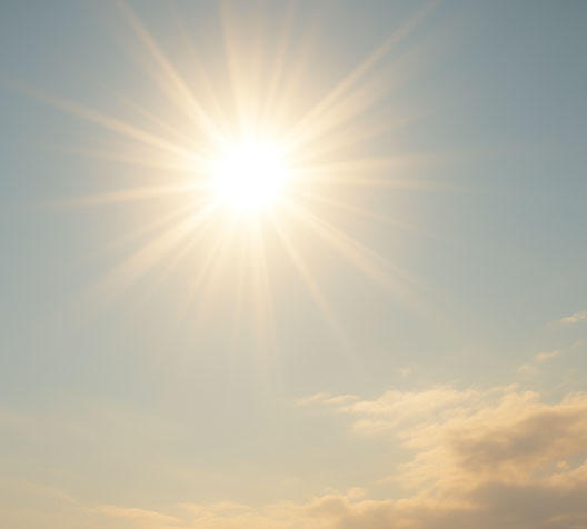 抵禦環境壓力源