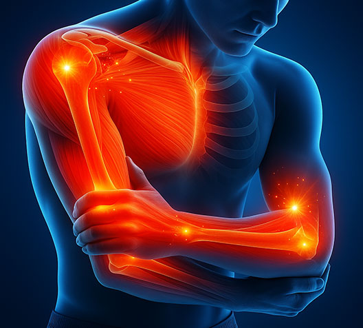 관절 및 근육 회복