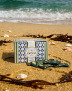 EKOLO™ Vital Essence Candy — Marine Polyphenol Daily Vitality