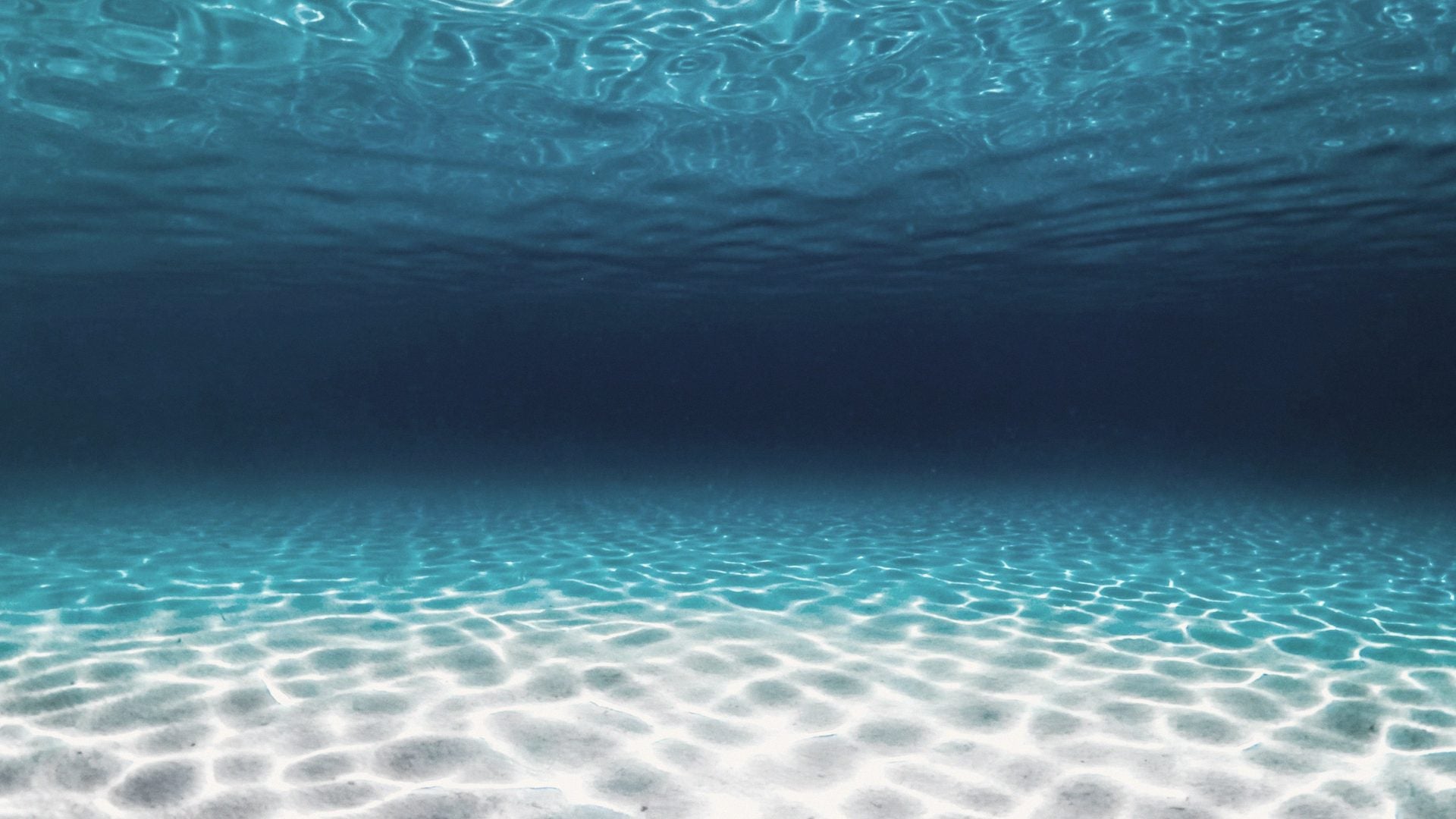 Looking through clear shallow seawater toward a bright sandy sea floor.